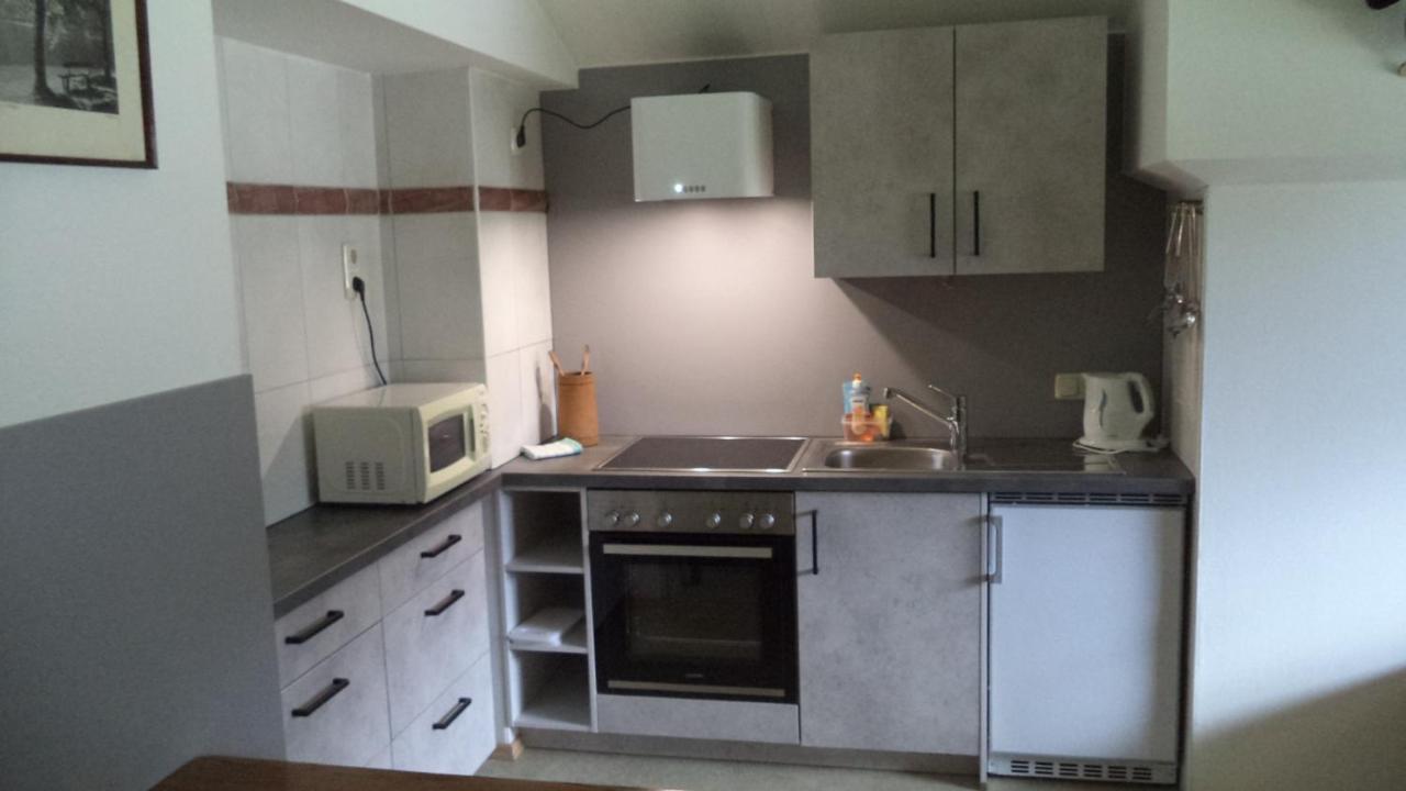 Ferienwohnung Kunterbunt Gosau Εξωτερικό φωτογραφία